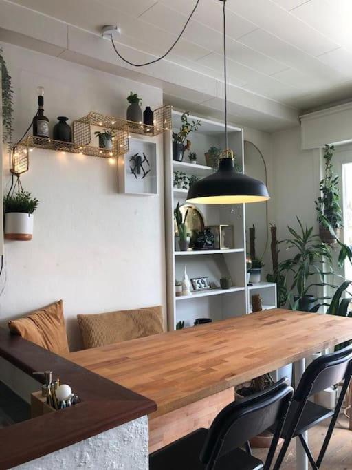 Studio Zeezucht بلانكنبرخ المظهر الخارجي الصورة
